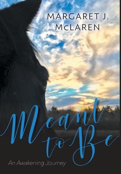 Produktbild: Meant To Be: An Awakening Journey