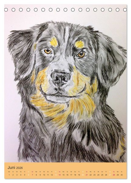 Produktbild: Hunde - Bezaubernde Portraitzeichnungen (Tischkalender 2026 DIN A5 hoch), CALVENDO Monatskalender