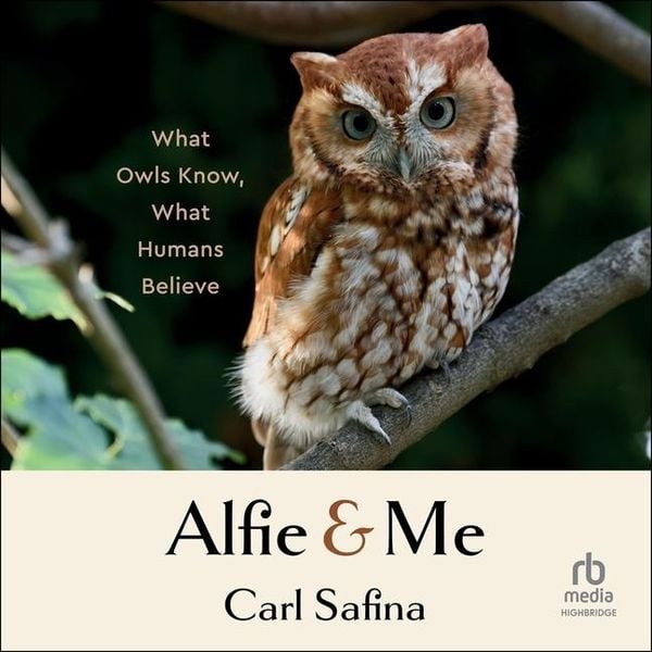 Produktbild: Alfie and Me