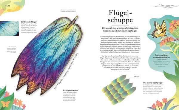 Produktbild: Gro&szlig;e und kleine Sch&auml;tze der Natur. Gro&szlig;e und kleine Sch&auml;tze der Natur