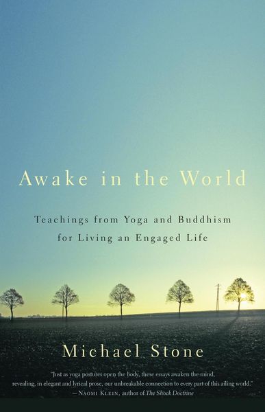 Produktbild: Awake in the World