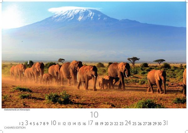 Produktbild: Kenia & Serengheti Kalender 2027 &ndash; Wandkalender | Fotokalender Afrika 24x35cm &ndash; Wundersch&ouml;ne Tierkalender- und Naturschutzfotos.
