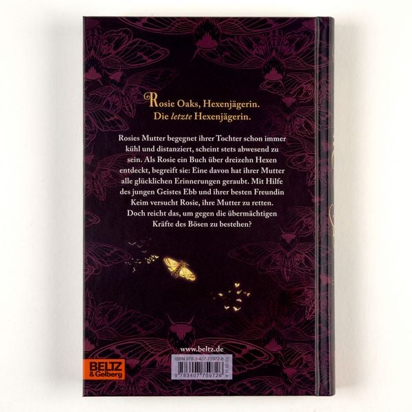 Produktbild: Thirteen Witches - Die Erinnerungsdiebin