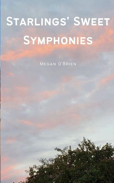 Produktbild: Starlings' Sweet Symphonies