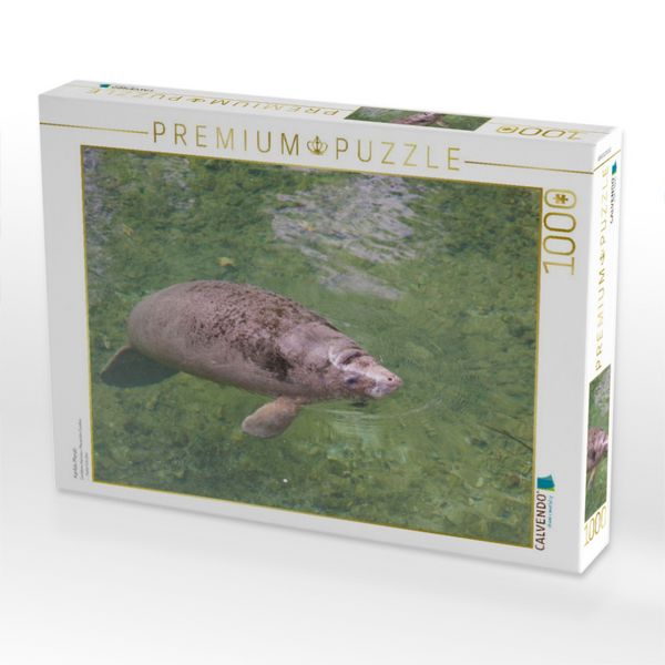 Produktbild: CALVENDO Puzzle Karibik-Manati | 1000 Teile Lege-Gr&ouml;&szlig;e 64x48cm Foto-Puzzle f&uuml;r gl&uuml;ckliche Stunden