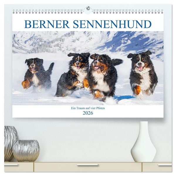 Produktbild: Berner Sennenhund - Ein Traum auf vier Pfoten (hochwertiger Premium Wandkalender 2026 DIN A2 quer), Kunstdruck in Hochglanz