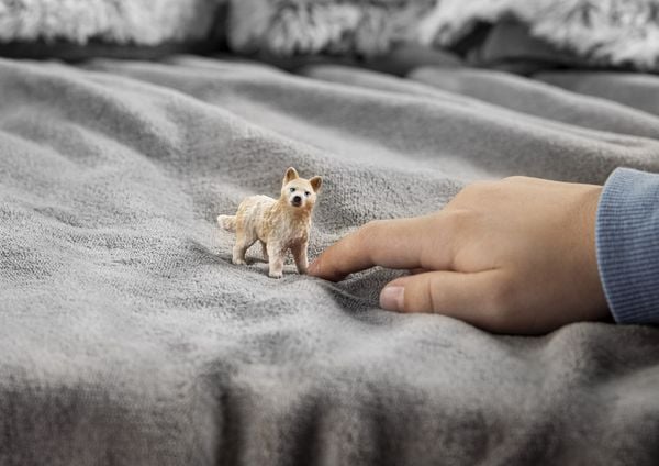 Produktbild: schleich&reg; Wild Life Polarwolf Welpe