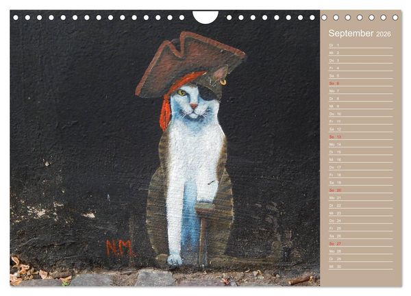 Produktbild: Flensburger Katzen (Wandkalender 2026 DIN A4 quer), CALVENDO Monatskalender