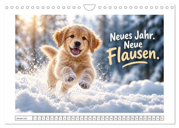 Produktbild: Zum Gl&uuml;ck gibt&rsquo;s Hunde (Wandkalender 2027 DIN A4 quer), CALVENDO Monatskalender