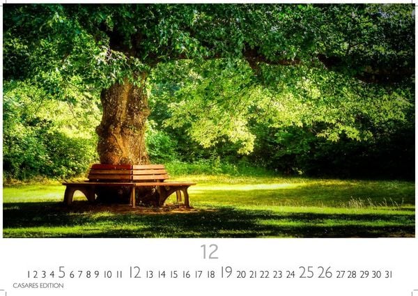 Produktbild: Englische G&auml;rten Kalender 2027 &ndash; Wandkalender | Fotokalender Naturkalender England 35x50cm - Naturfotos - Inspiration f&uuml;r Gartenliebhaber &ndash; Perfekt f&uuml;r Naturerlebnis & botanische Sch&ouml;nheit