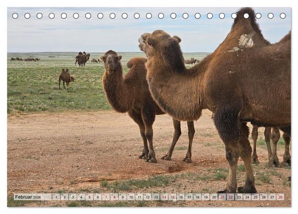 Produktbild: Nord-Gobi (Tischkalender 2026 DIN A5 quer), CALVENDO Monatskalender