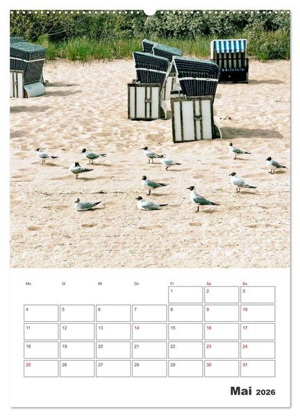 Produktbild: Usedom - Terminplaner (hochwertiger Premium Wandkalender 2026 DIN A2 hoch), Kunstdruck in Hochglanz