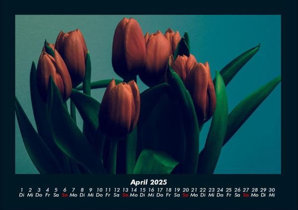 Produktbild: Blumentr&auml;ume 2025 Fotokalender DIN A4
