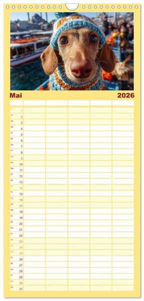 Produktbild: Familienplaner 2026 - Dackel auf gro&szlig;er Tour - S&uuml;&szlig;e Hunde entdecken die Welt mit 5 Spalten (Wandkalender, 21 x 45 cm) CALVENDO