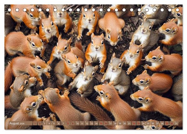 Produktbild: Kuschelblicke (Tischkalender 2026 DIN A5 quer), CALVENDO Monatskalender