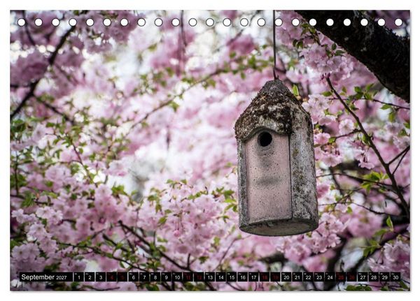 Produktbild: Fr&uuml;hlingsbl&uuml;her - Farbenpracht nach dem Winter (Tischkalender 2027 DIN A5 quer), CALVENDO Monatskalender