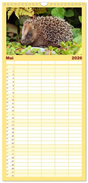 Produktbild: Familienplaner 2026 - Nachwuchs in der Tierwelt mit 5 Spalten (Wandkalender, 21 x 45 cm) CALVENDO