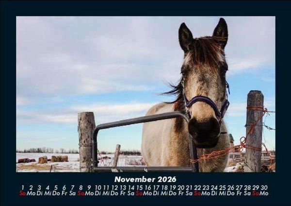 Produktbild: Die Welt der Pferde 2026 Fotokalender DIN A5