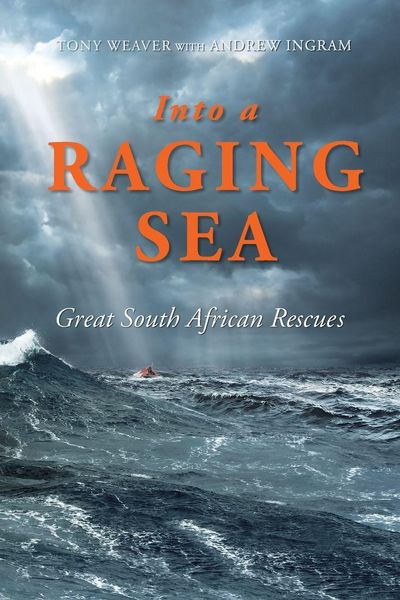 Produktbild: INTO A RAGING SEA