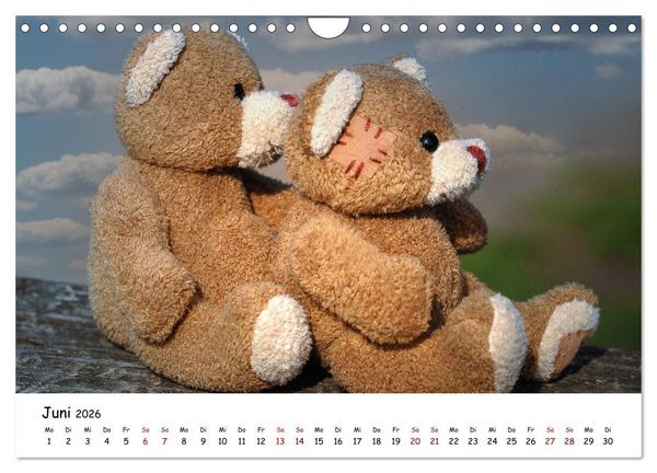Produktbild: Allerliebste Teddyb&auml;ren (Wandkalender 2026 DIN A4 quer), CALVENDO Monatskalender