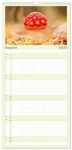 Produktbild: Familienplaner 2026 - Die Welt der Fliegenpilze mit 5 Spalten (Wandkalender, 21 x 45 cm) CALVENDO
