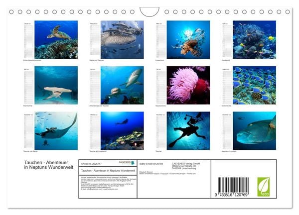 Produktbild: Tauchen - Abenteuer in Neptuns Wunderwelt (Wandkalender 2026 DIN A4 quer), CALVENDO Monatskalender