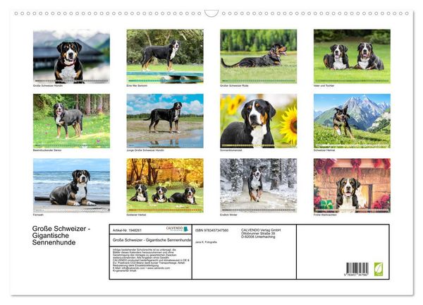 Produktbild: Gro&szlig;e Schweizer - Gigantische Sennenhunde (Wandkalender 2026 DIN A2 quer), CALVENDO Monatskalender