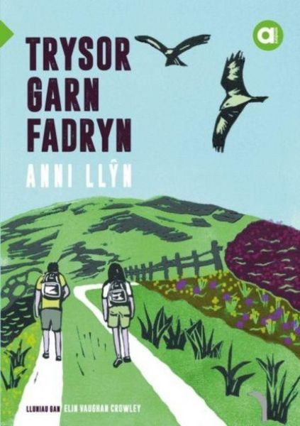 Produktbild: Cyfres Amdani: Trysor Garn Fadryn