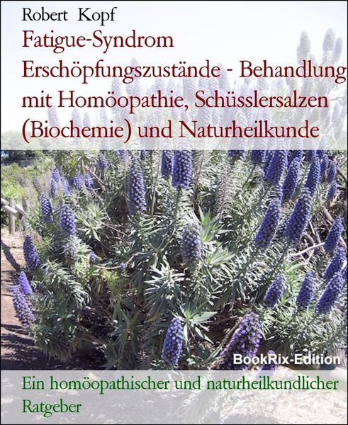 Produktbild: Fatigue-Syndrom Ersch&ouml;pfungszust&auml;nde - Behandlung mit Hom&ouml;opathie, Sch&uuml;sslersalzen (Biochemie) und Naturheilkunde