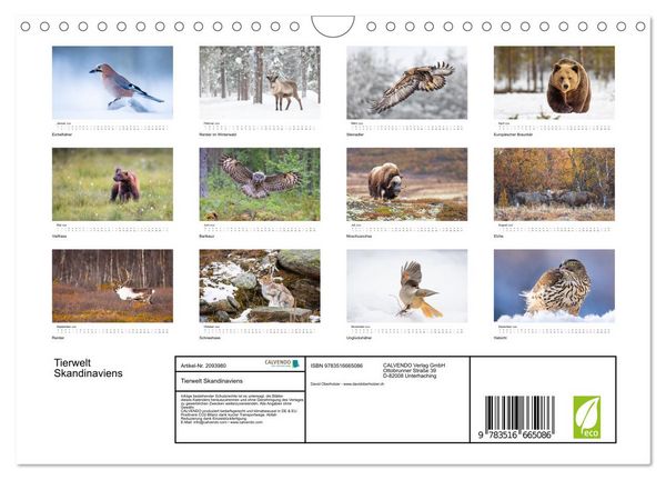 Produktbild: Tierwelt Skandinaviens (Wandkalender 2026 DIN A4 quer), CALVENDO Monatskalender
