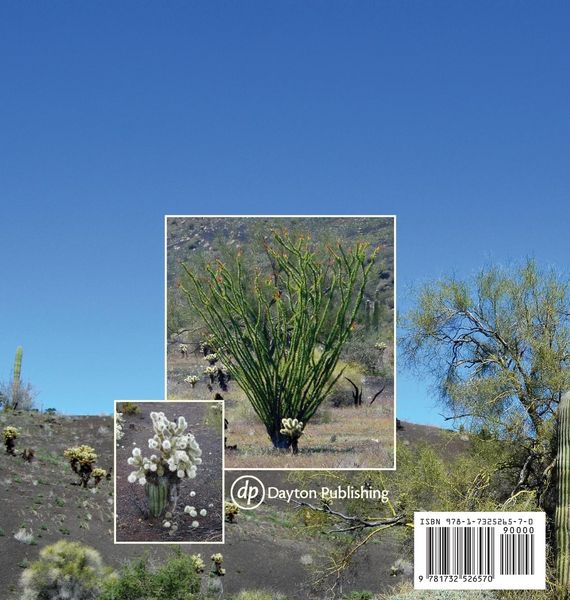Produktbild: Rabbits and Rats, Birds and Seeds, Cactus and Trees