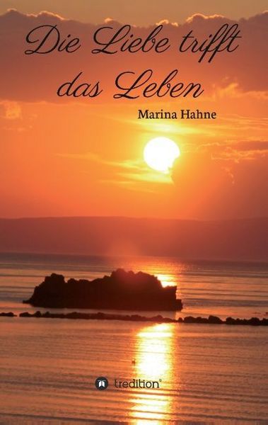 Produktbild: Hahne, M: Liebe trifft das Leben