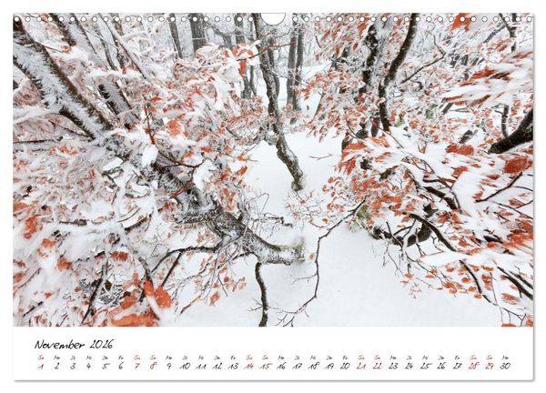 Produktbild: Im Atem der B&auml;ume (Wandkalender 2026 DIN A3 quer), CALVENDO Monatskalender
