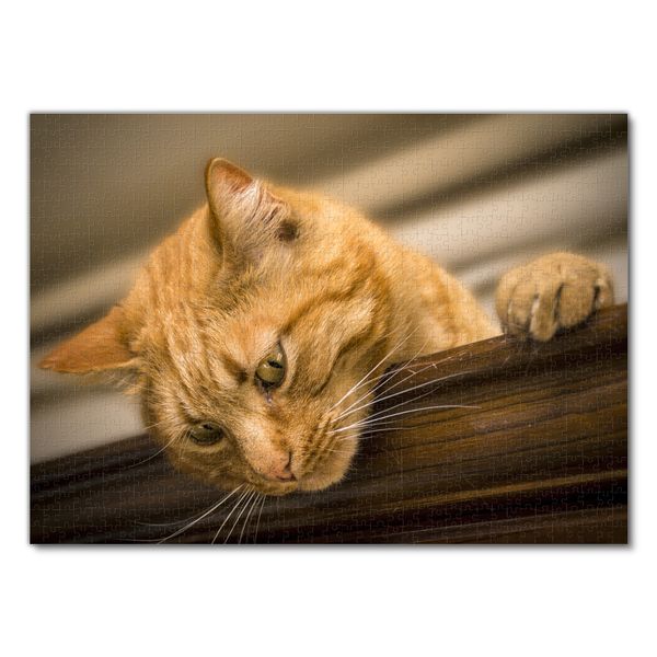 Produktbild: Lais Puzzle Katze 1000 Teile