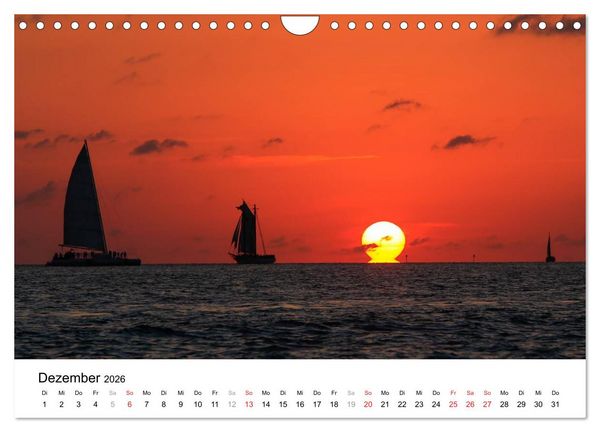 Produktbild: Unter der Sonne Floridas (Wandkalender 2026 DIN A4 quer), CALVENDO Monatskalender