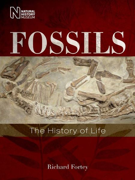 Produktbild: Fossils: The History of Life