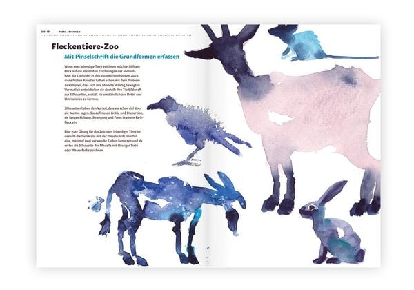 Produktbild: Tiere zeichnen und verstehen
