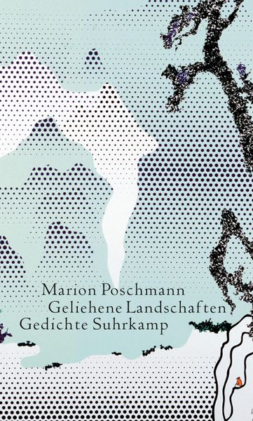 Produktbild: Geliehene Landschaften