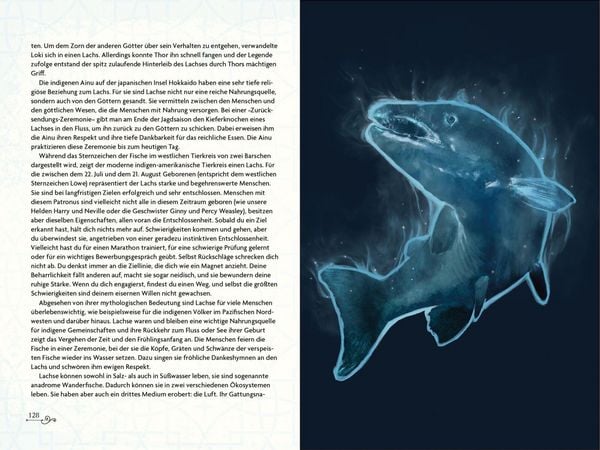 Produktbild: Das illustrierte Patronus-Handbuch f&uuml;r Potter-Fans