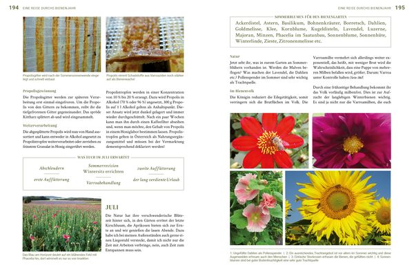 Produktbild: Bio-Imkern in der Stadt und auf dem Land