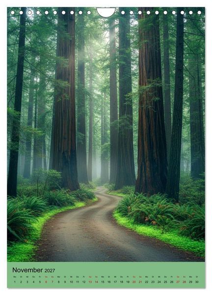 Produktbild: Sequoia Giganten (Wandkalender 2027 DIN A4 hoch), CALVENDO Monatskalender