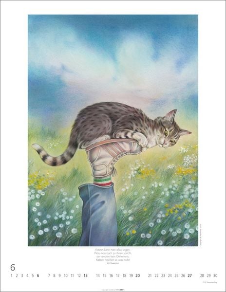 Produktbild: Schnurren und Kratzen - Bilder von Katzen Kalender 2027