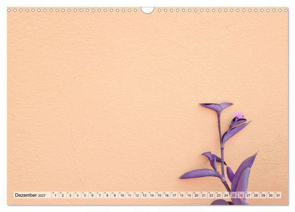 Produktbild: Minimal Burano (Wandkalender 2027 DIN A3 quer), CALVENDO Monatskalender