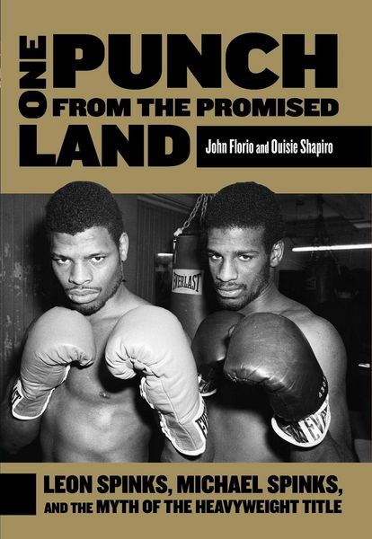 Produktbild: One Punch from the Promised Land