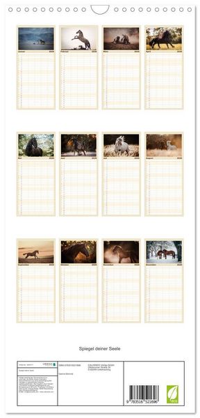 Produktbild: Familienplaner 2026 - Spiegel deiner Seele mit 5 Spalten (Wandkalender, 21 x 45 cm) CALVENDO