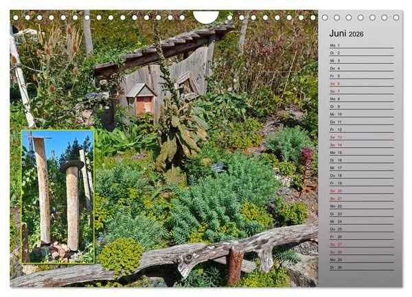 Produktbild: Bl&uuml;hende Gartenparks in Mannheim (Wandkalender 2026 DIN A4 quer), CALVENDO Monatskalender