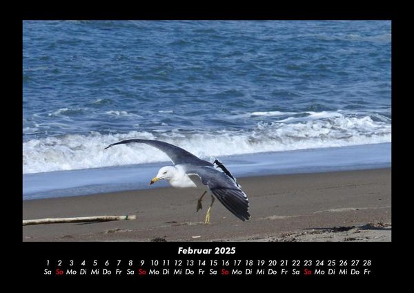 Produktbild: Meereslandschaft 2025 Fotokalender DIN A3