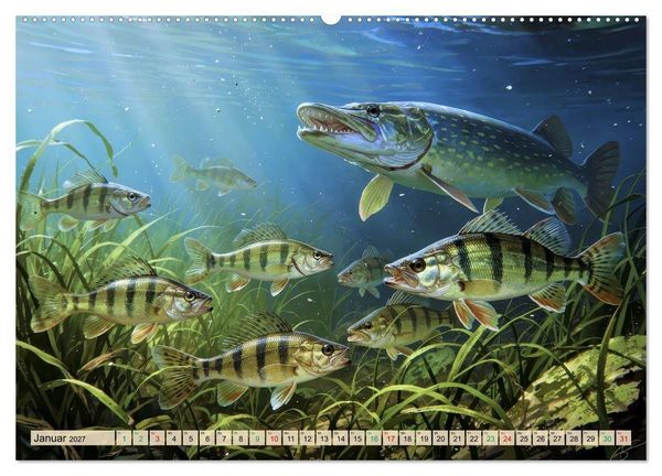 Produktbild: Barsche im See (Wandkalender 2027 DIN A2 quer), CALVENDO Monatskalender