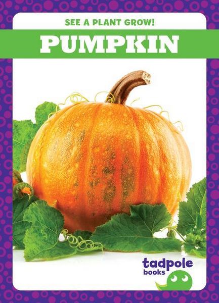 Produktbild: Pumpkin