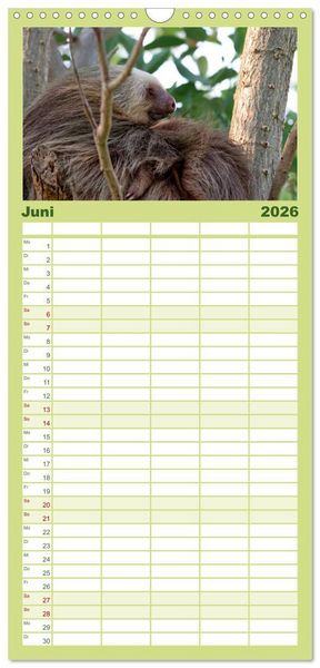 Produktbild: Familienplaner 2026 - Abh&auml;ngen - Faultier mit 5 Spalten (Wandkalender, 21 x 45 cm) CALVENDO